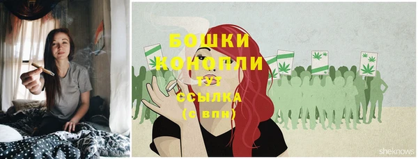 бошки Костерёво