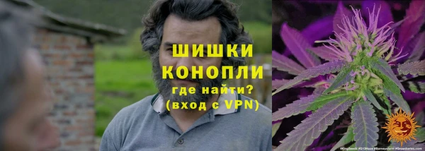 амф Корсаков