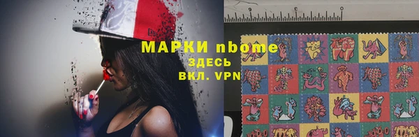амф Корсаков