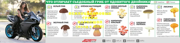 бошки Костерёво
