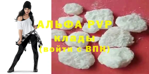 амф Корсаков