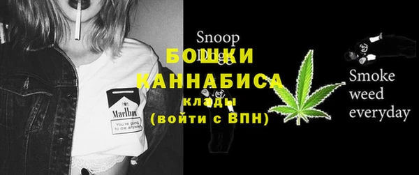 амф Корсаков