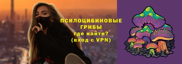 бошки Костерёво