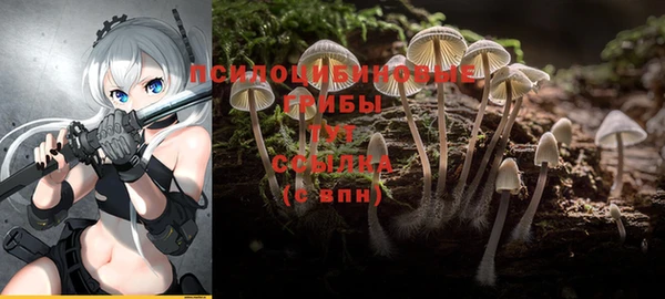прущая мука Коряжма