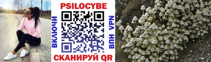 Псилоцибиновые грибы мухоморы  Купить где  Бакал 