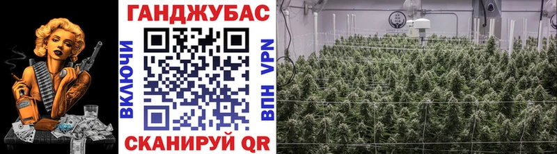 Каннабис VHQ  Купить закладки  Бакал 
